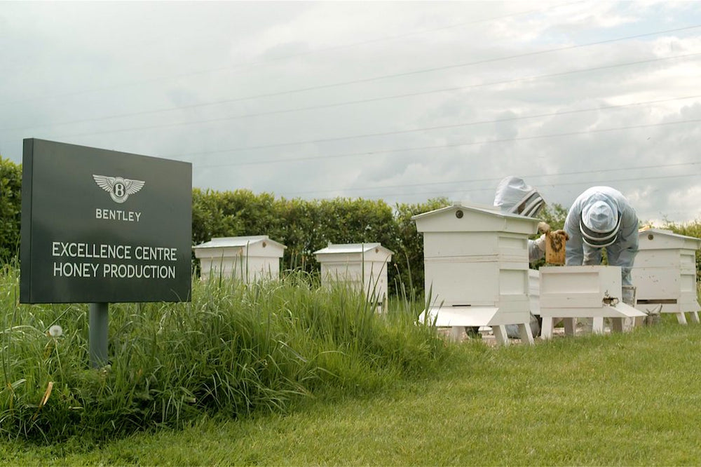 Workforce of Bentley’s Excellence Centre for Honey Production Reaches One Million Bees