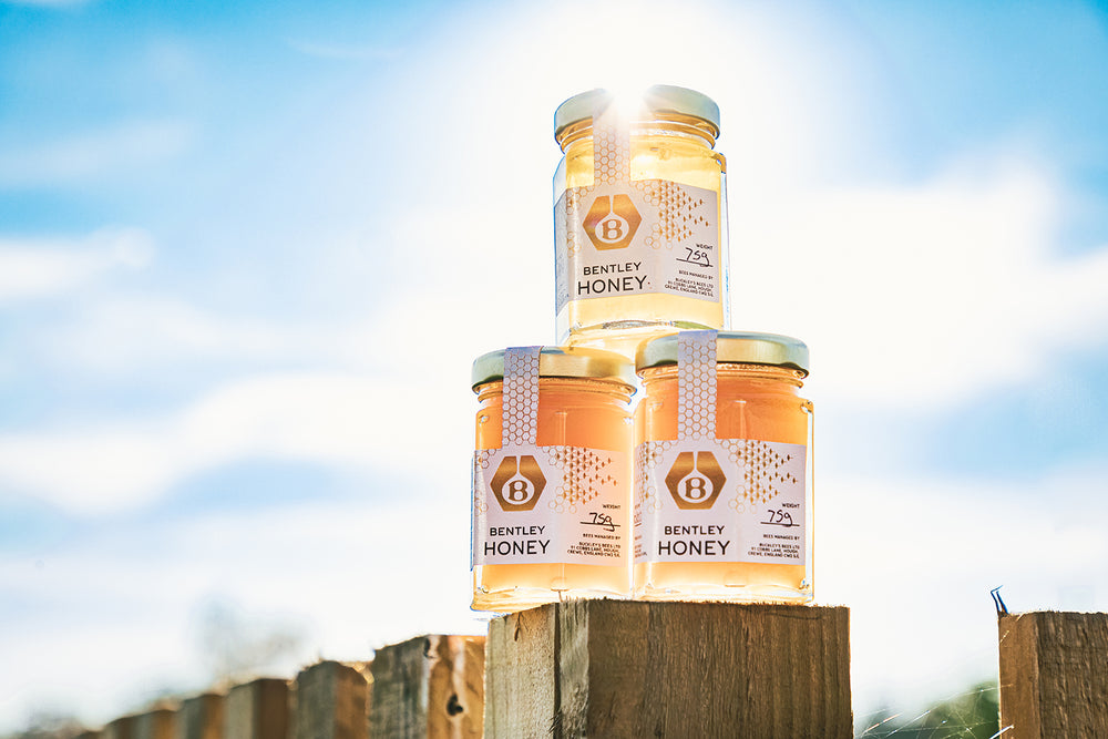 Bentley Bees Produced an Estimated Record 1,000 Jars of Honey