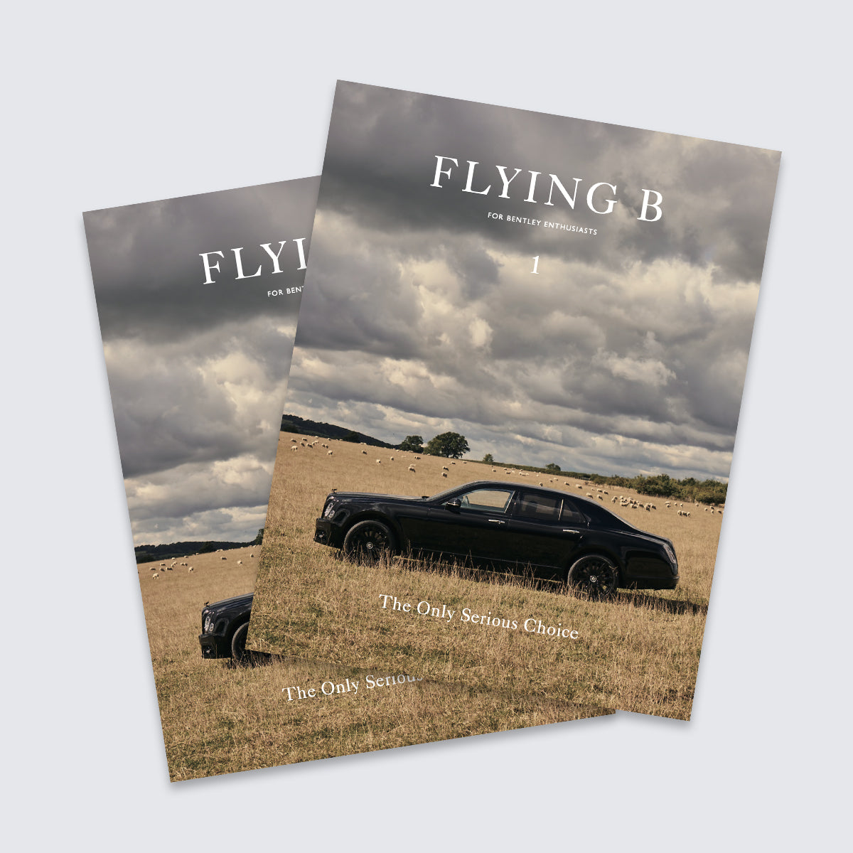 FLYING B  Magazine / SUBSCRIPTIONS